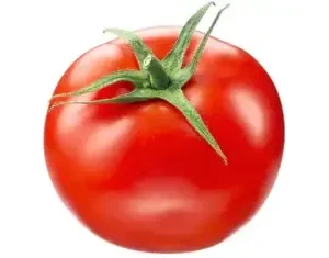 Tomate Ronde